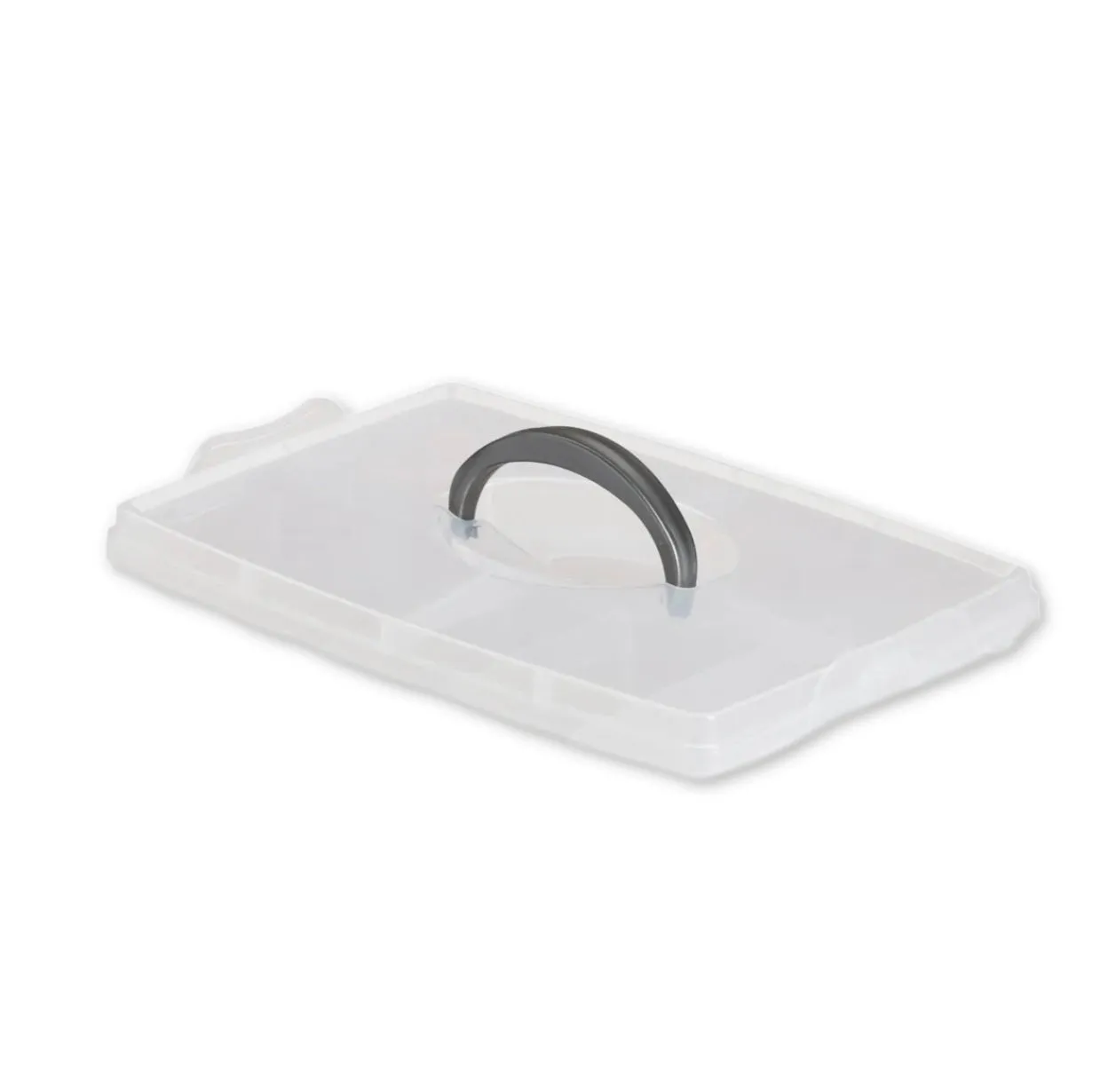 Plastic Carrying Case Organizer