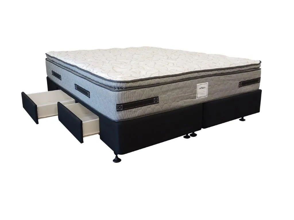 Sealy Support Plush Bed