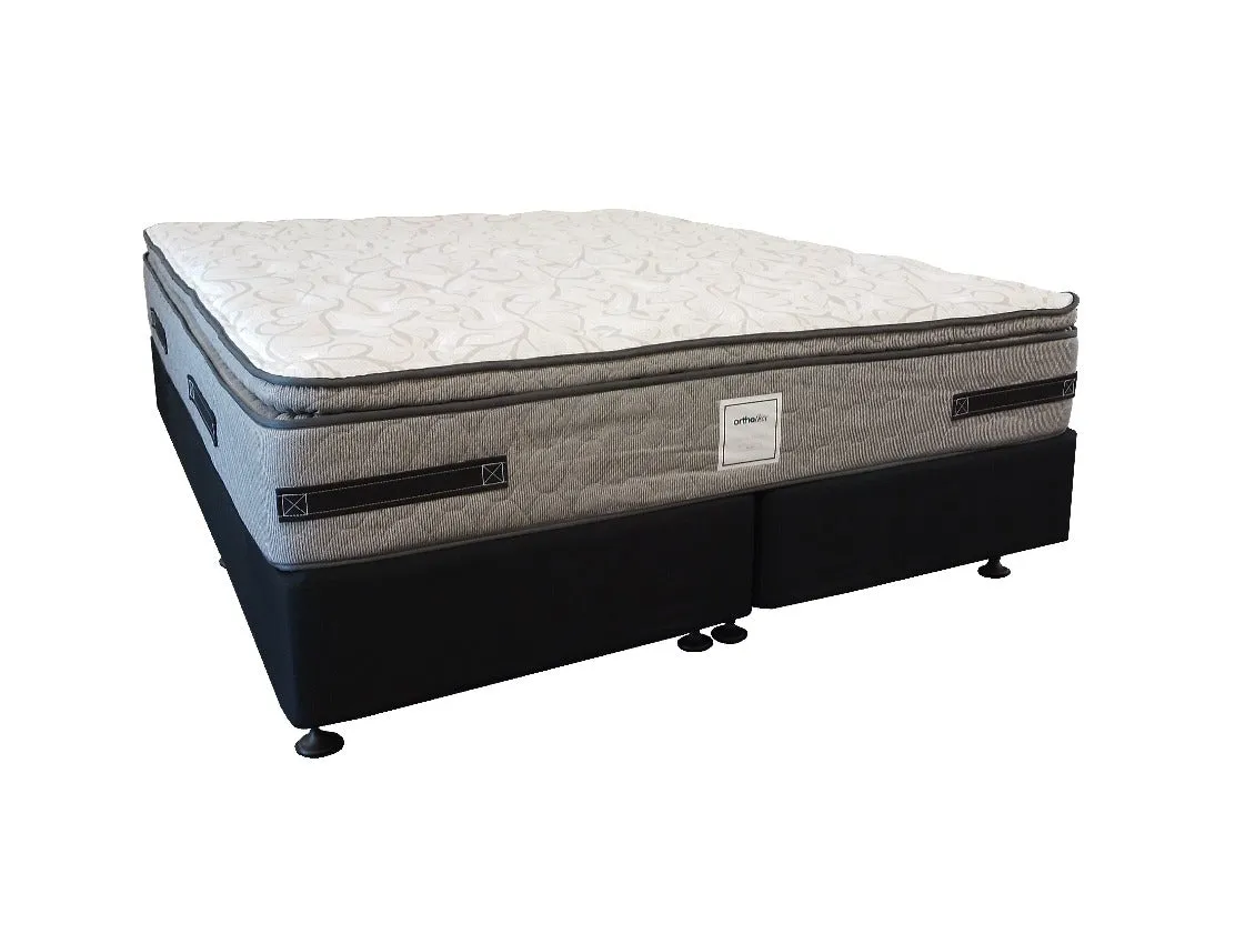 Sealy Support Plush Bed